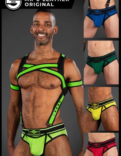 Bold Color Brief